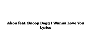 Akon feat. Snoop Dogg I Wanna Love You Lyrics