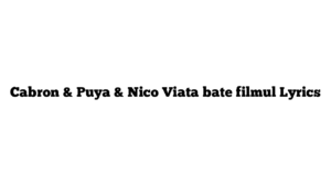 Cabron & Puya & Nico Viata bate filmul Lyrics