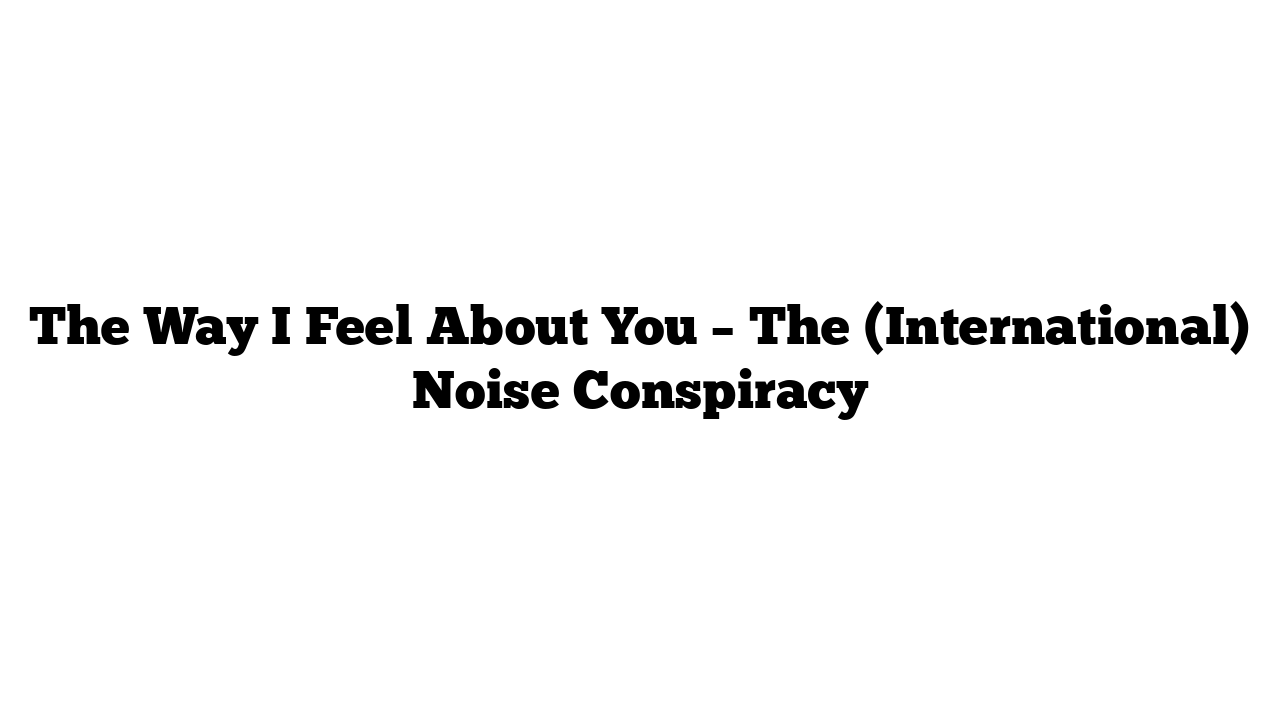 The Way I Feel About You – The (International) Noise Conspiracy