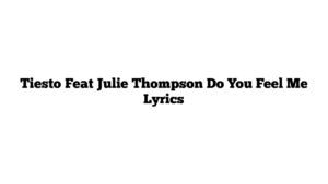 Tiesto Feat Julie Thompson Do You Feel Me Lyrics