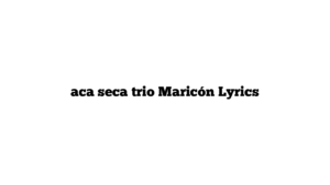 aca seca trio Maricón Lyrics