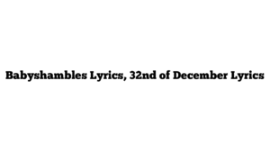 Babyshambles Lyrics, 32nd of December Lyrics