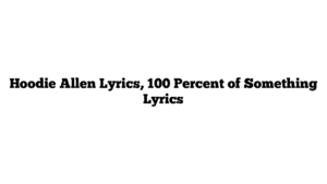 Hoodie Allen Lyrics, 100 Percent of Something Lyrics