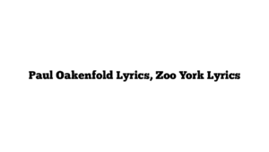 Paul Oakenfold Lyrics, Zoo York Lyrics