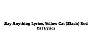 Say Anything Lyrics, Yellow Cat (Slash) Red Cat Lyrics