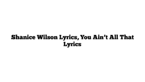 Shanice Wilson Lyrics, You Ain’t All That Lyrics