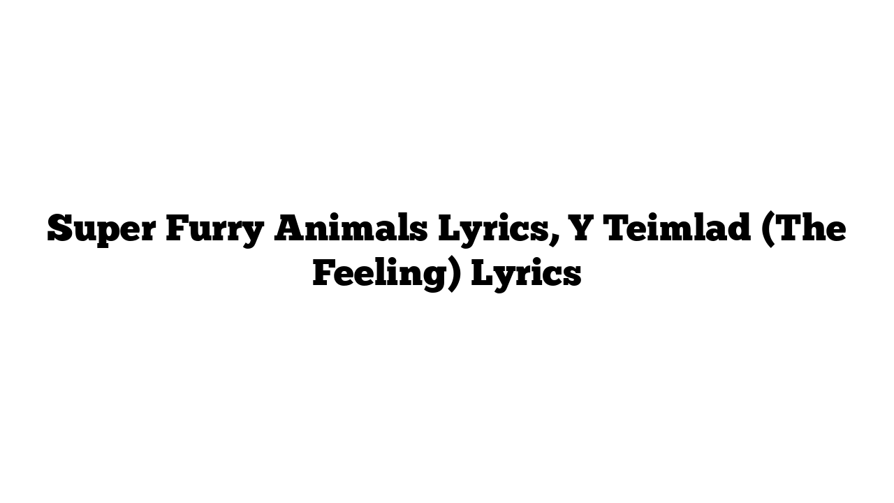 Super Furry Animals Lyrics, Y Teimlad (The Feeling) Lyrics