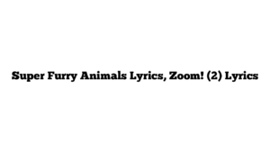 Super Furry Animals Lyrics, Zoom! (2) Lyrics