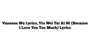 Vanness Wu Lyrics, Yin Wei Tai Ai Ni (Because I Love You Too Much) Lyrics