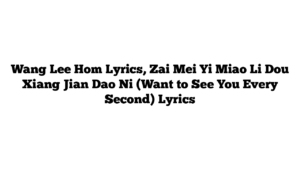 Wang Lee Hom Lyrics, Zai Mei Yi Miao Li Dou Xiang Jian Dao Ni (Want to See You Every Second) Lyrics