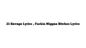 21 Savage Lyrics , Fuckin Niggaz Bitches Lyrics