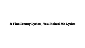 A Fine Frenzy Lyrics , You Picked Me Lyrics