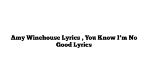 Amy Winehouse Lyrics , You Know I’m No Good Lyrics