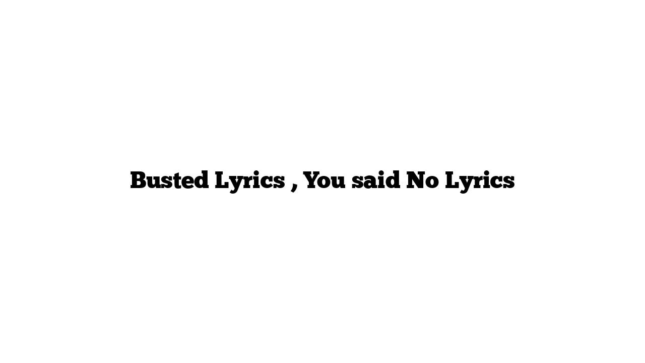 Busted Lyrics , You said No Lyrics