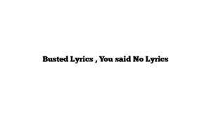 Busted Lyrics , You said No Lyrics