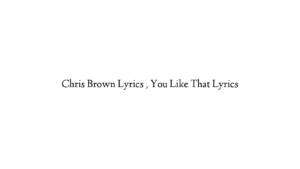 Chris Brown Lyrics , You Like That Lyrics