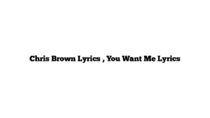 Chris Brown Lyrics , You Want Me Lyrics