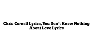 Chris Cornell Lyrics, You Don’t Know Nothing About Love Lyrics