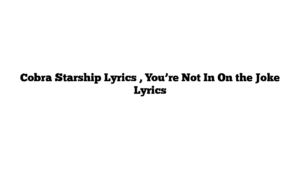 Cobra Starship Lyrics , You’re Not In On the Joke Lyrics