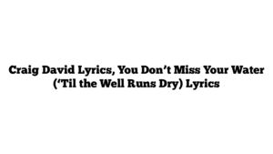 Craig David Lyrics, You Don’t Miss Your Water (‘Til the Well Runs Dry) Lyrics