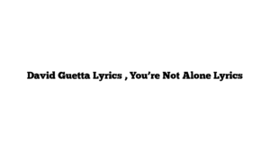 David Guetta Lyrics , You’re Not Alone Lyrics