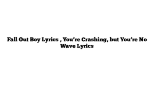 Fall Out Boy Lyrics , You’re Crashing, but You’re No Wave Lyrics