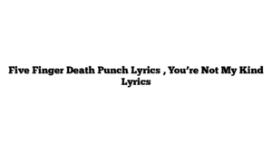 Five Finger Death Punch Lyrics , You’re Not My Kind Lyrics