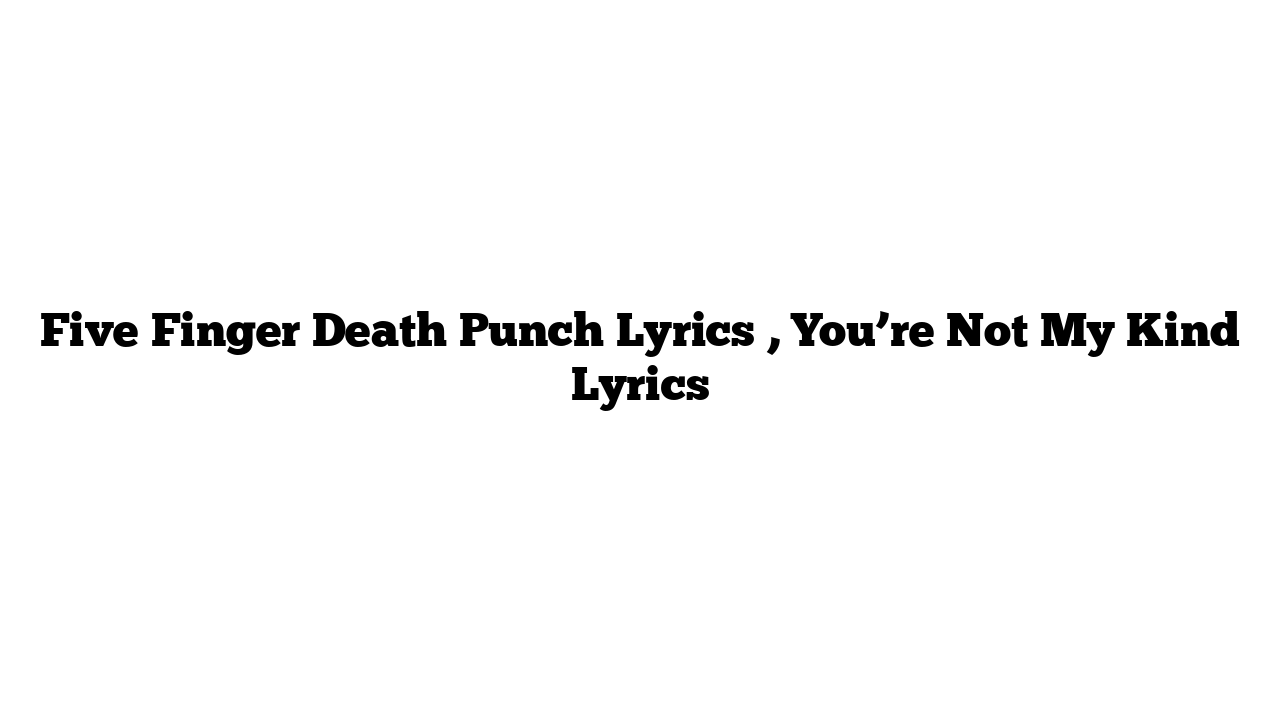 Five Finger Death Punch Lyrics , You’re Not My Kind Lyrics