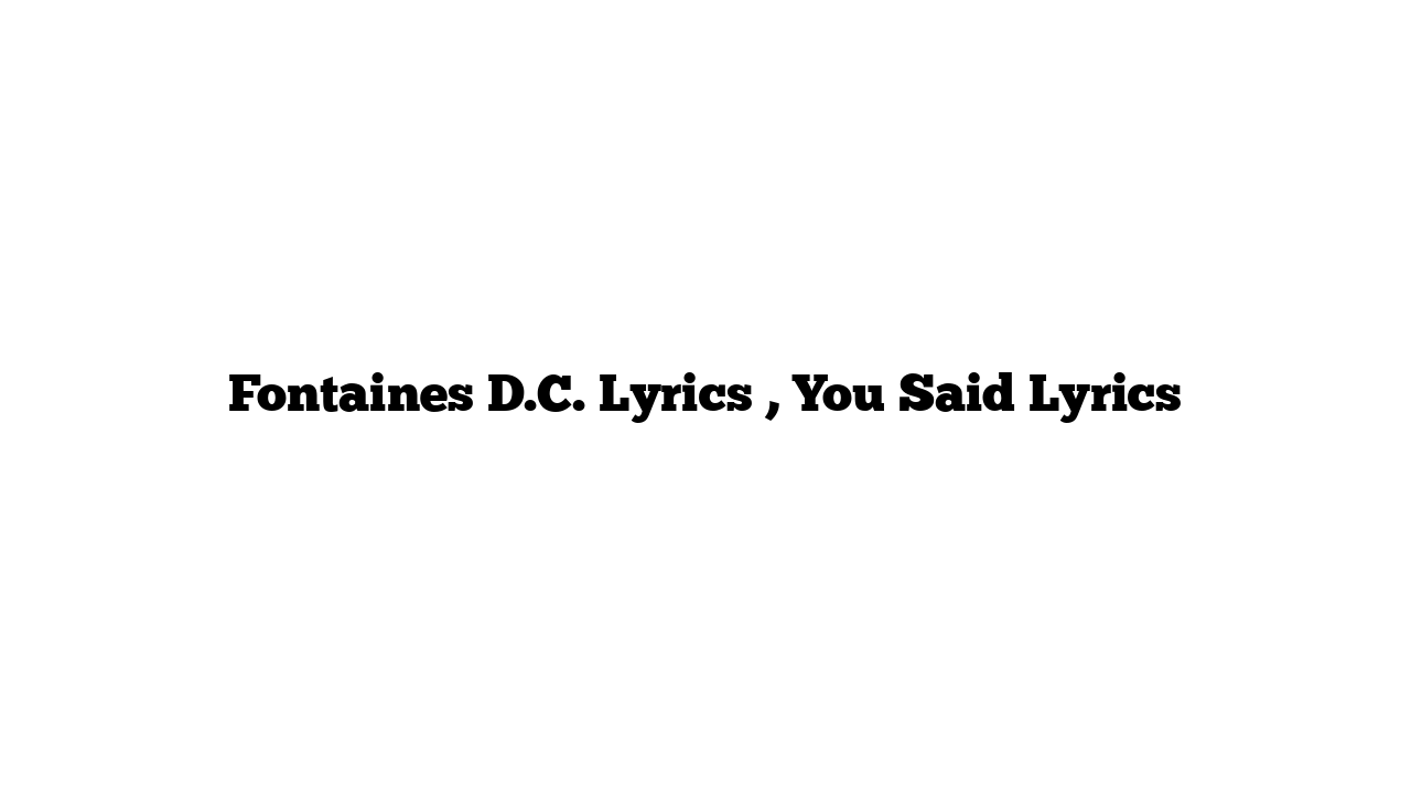 Fontaines D.C. Lyrics , You Said Lyrics