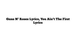 Guns N’ Roses Lyrics, You Ain’t The First Lyrics