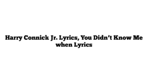 Harry Connick Jr. Lyrics, You Didn’t Know Me when Lyrics