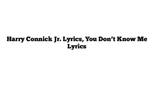 Harry Connick Jr. Lyrics, You Don’t Know Me Lyrics