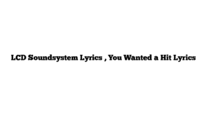 LCD Soundsystem Lyrics , You Wanted a Hit Lyrics