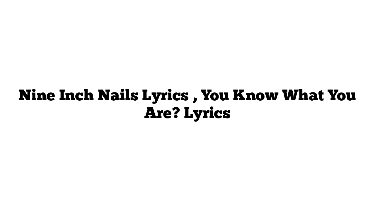 Nine Inch Nails Lyrics , You Know What You Are? Lyrics