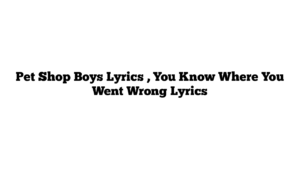 Pet Shop Boys Lyrics , You Know Where You Went Wrong Lyrics