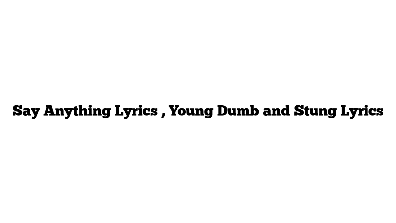 Say Anything Lyrics , Young Dumb and Stung Lyrics