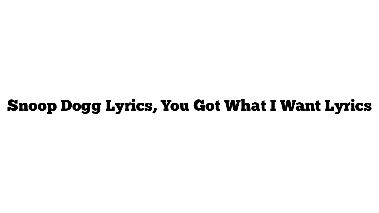 Snoop Dogg Lyrics, You Got What I Want Lyrics