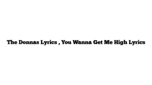 The Donnas Lyrics , You Wanna Get Me High Lyrics