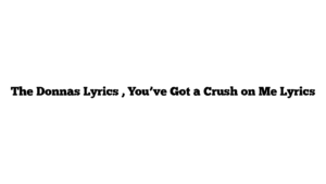 The Donnas Lyrics , You’ve Got a Crush on Me Lyrics