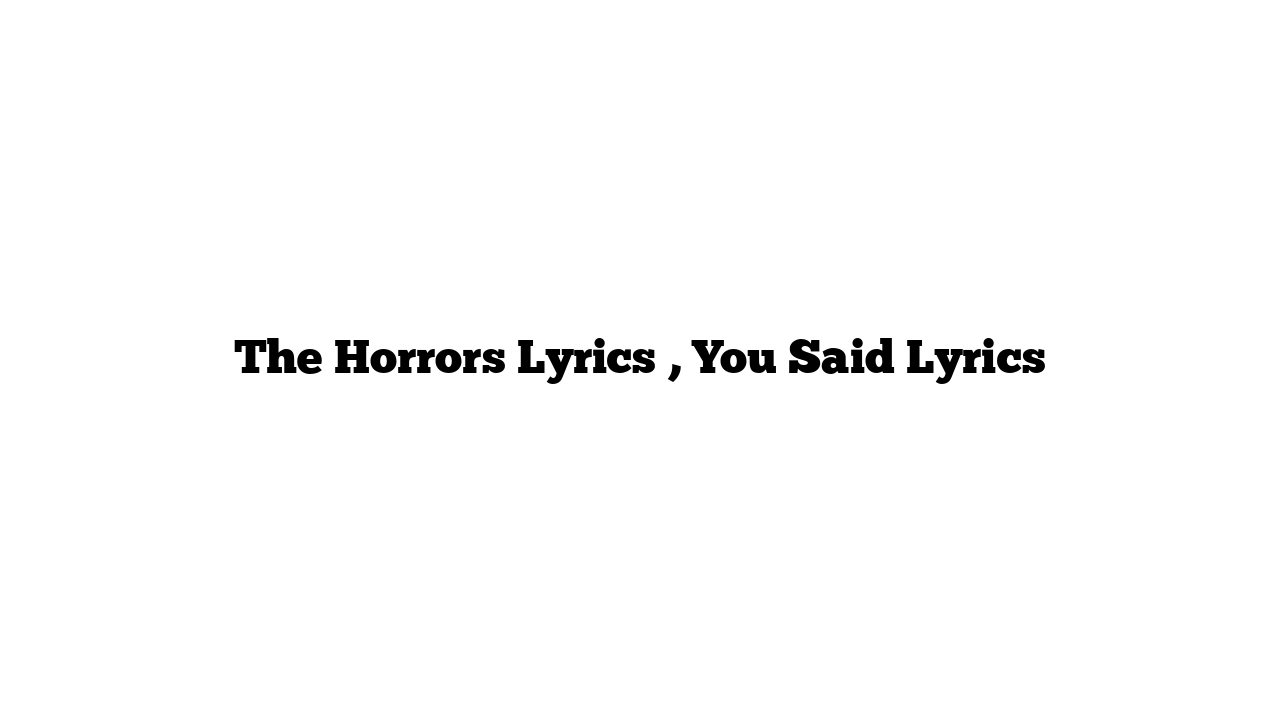 The Horrors Lyrics , You Said Lyrics