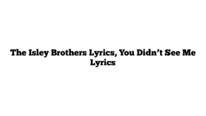 The Isley Brothers Lyrics, You Didn’t See Me Lyrics