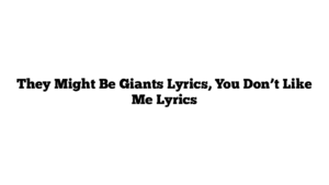 They Might Be Giants Lyrics, You Don’t Like Me Lyrics