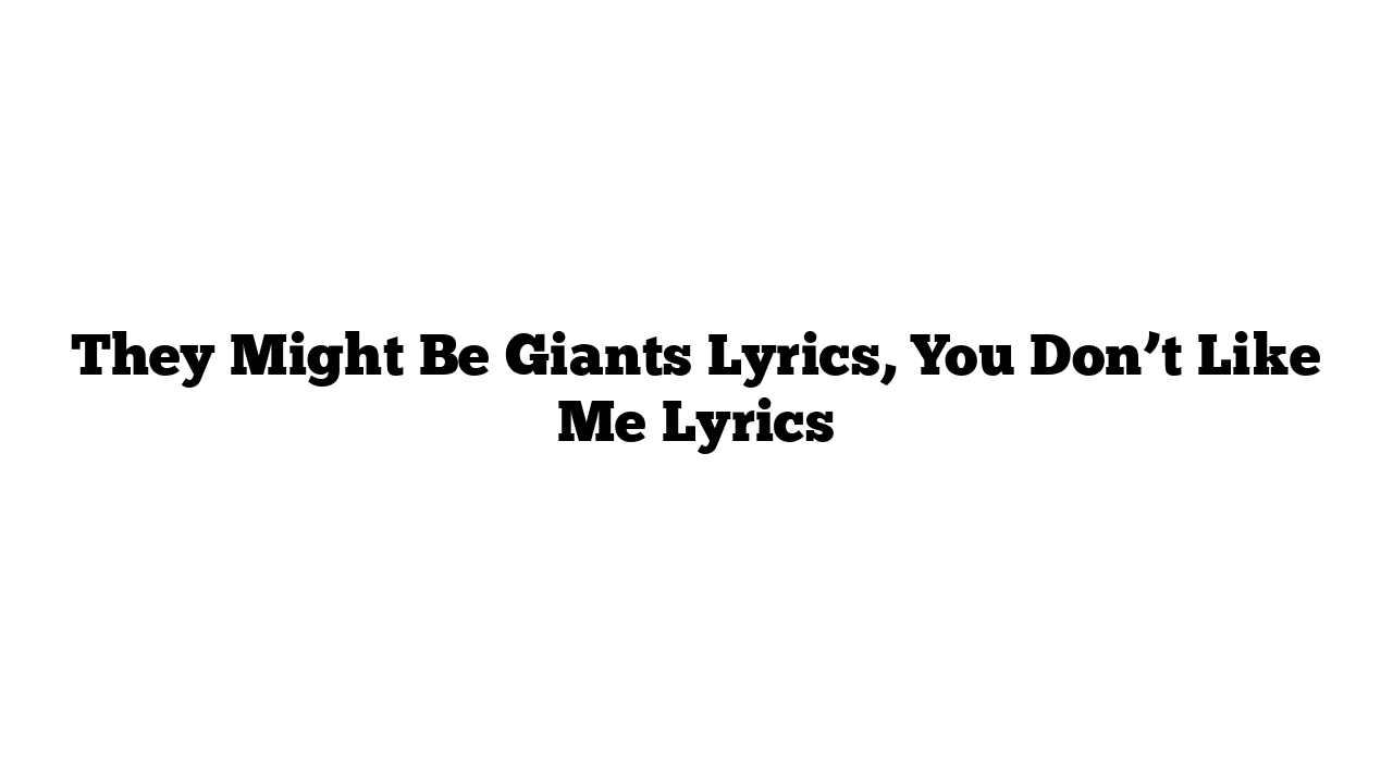 They Might Be Giants Lyrics, You Don’t Like Me Lyrics