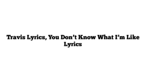 Travis Lyrics, You Don’t Know What I’m Like Lyrics