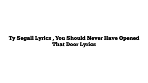 Ty Segall Lyrics , You Should Never Have Opened That Door Lyrics