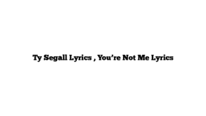 Ty Segall Lyrics , You’re Not Me Lyrics