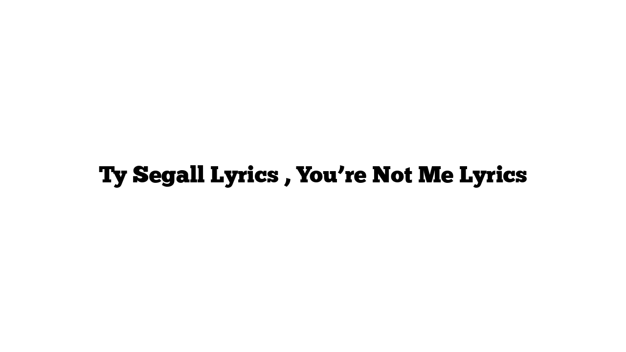 Ty Segall Lyrics , You’re Not Me Lyrics