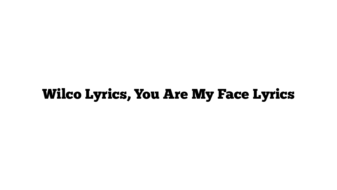 Wilco Lyrics, You Are My Face Lyrics